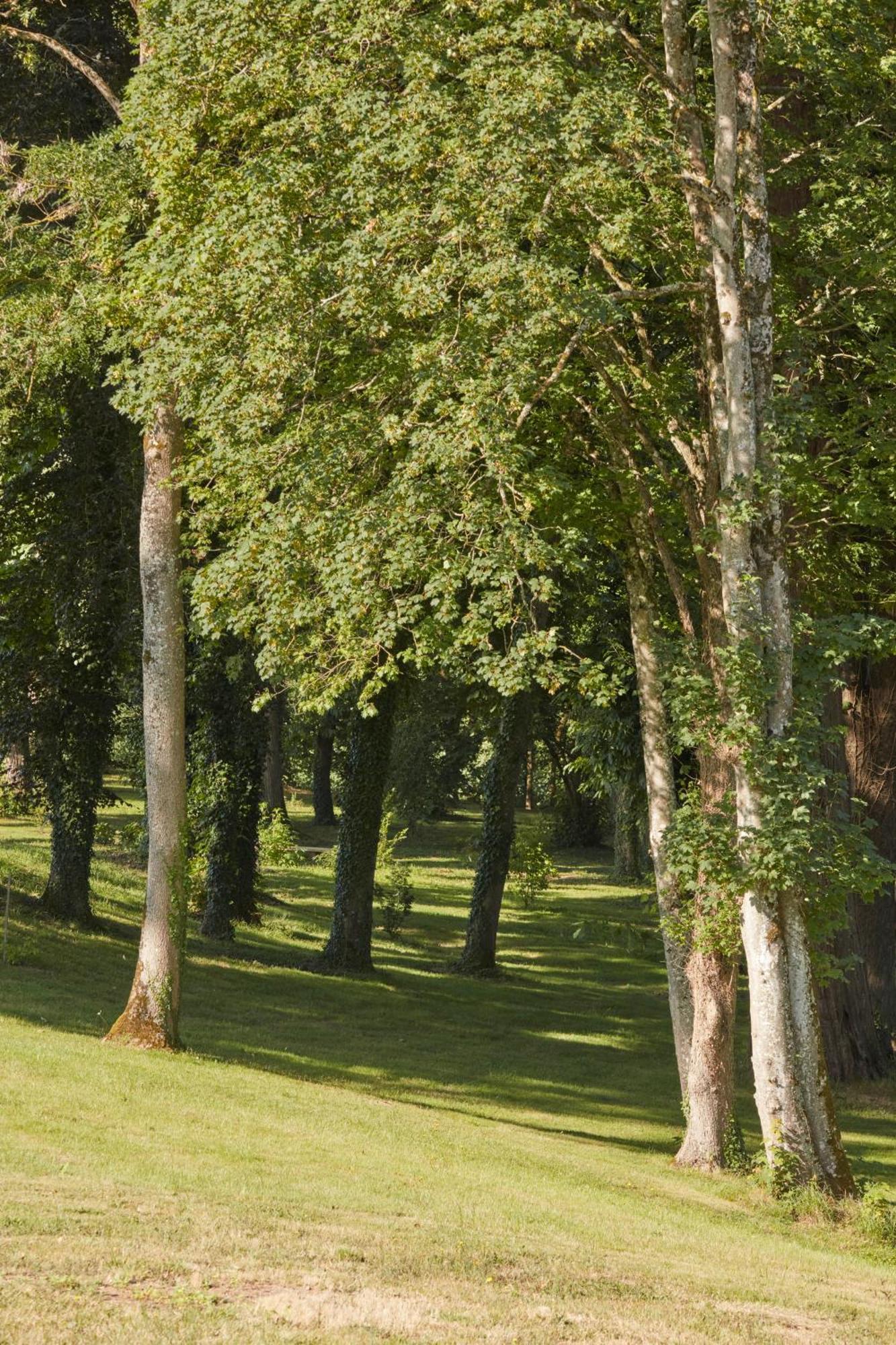 Domaine Le Mezo Hotel Ploeren Luaran gambar